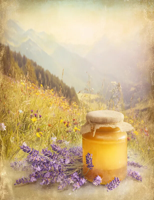 Honey Mountain Lavender Prompts for Claude
